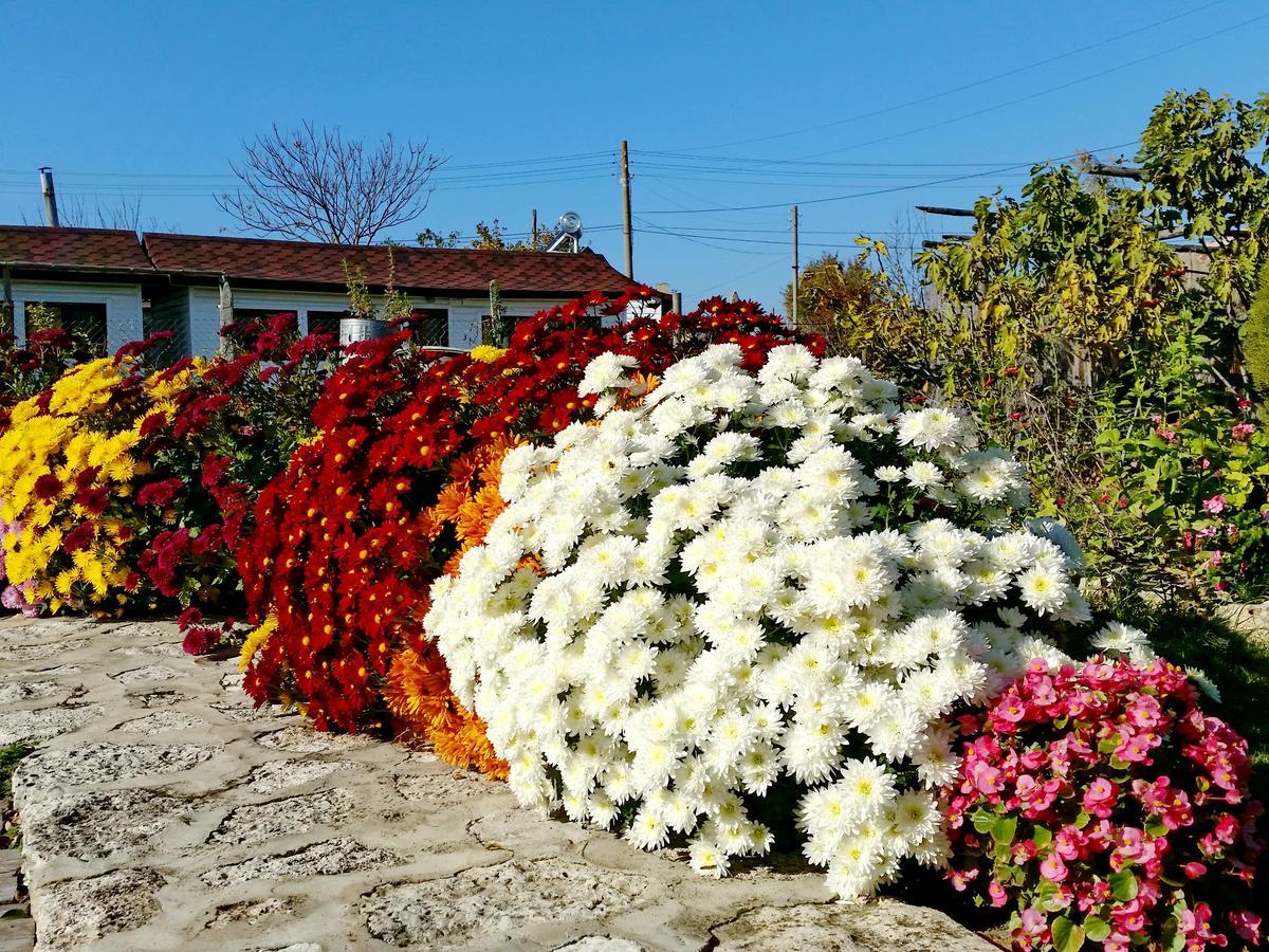 Kosta Bungalows Bulgarevo Exterior photo